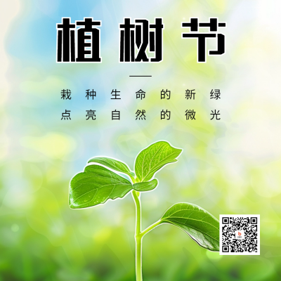植树节宣传方形海报 模板ID：63705