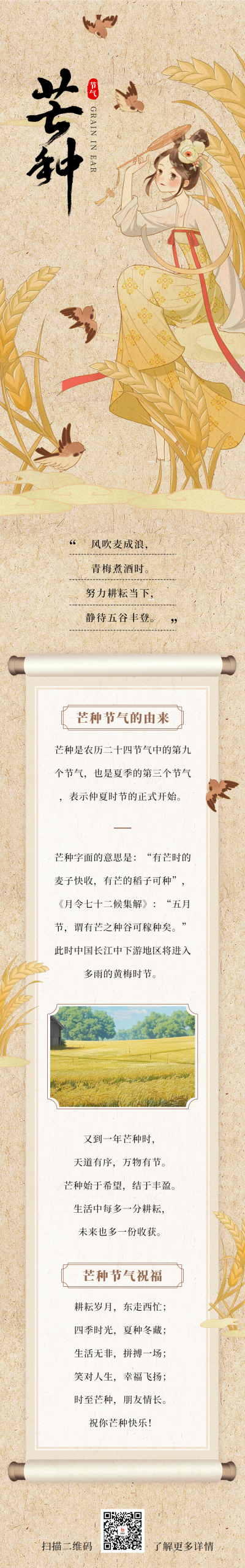 芒种节气祝福宣传公众号长图 模板ID：66504