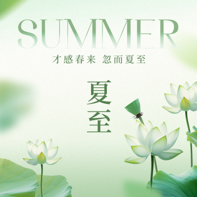夏至实景祝福方形海报 模板ID：66981