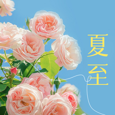 夏至实景祝福公众号封面次图 模板ID：66987