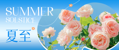 夏至实景祝福公众号封面首图 模板ID：66986