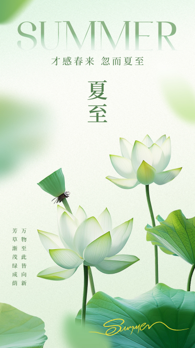夏至实景祝福海报 模板ID：66980
