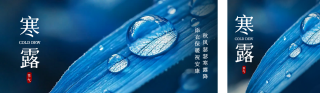寒露实景祝福公众号双封面 模板ID：s4100