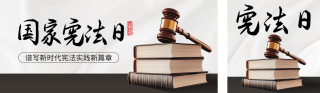国家宪法日宣传公众号双封面 模板ID：s4444