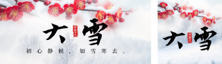 大雪节气习俗养生指南宣传公众号双封面 模板ID：s4479