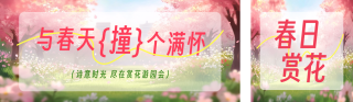 春日赏花公众号双封面 模板ID：s5040