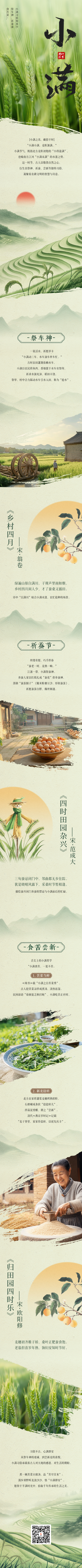 小满节气习俗科普公众号长图 模板ID：763636