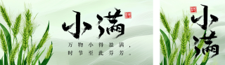 小满节气祝福麦穗宣传公众号双封面 模板ID：s5388