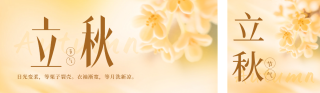 立秋节气实景祝福公众号双封面 模板ID:s5943