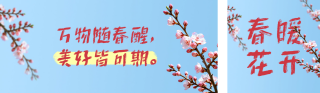 春日文案分享公众号双封面 模板ID：s7489