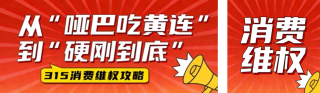 红色简约315维权指南公众号双封面 模板ID：s7479