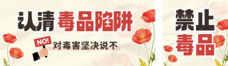 国际禁毒日科普注意事项宣传公众号双封面 模板ID：s8355