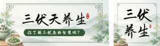 三伏天养生手绘清新宣传公众号双封面 模板ID：s8471