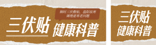 三伏贴健康科普古风公众号双封面 模板ID：s8530