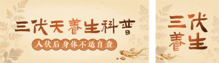 三伏天养生科普宣传公众号双封面 模板ID：s8470
